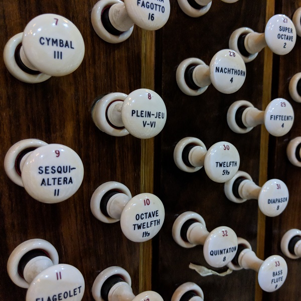 1. organ 600x600